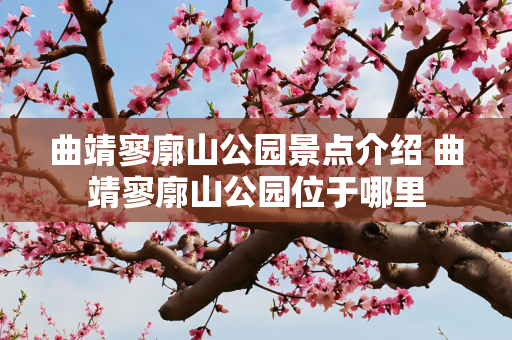 曲靖寥廓山公园景点介绍 曲靖寥廓山公园位于哪里
