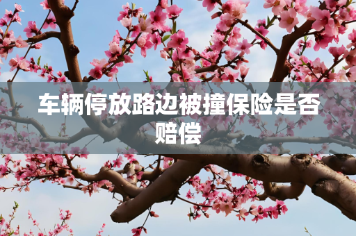 车辆停放路边被撞保险是否赔偿