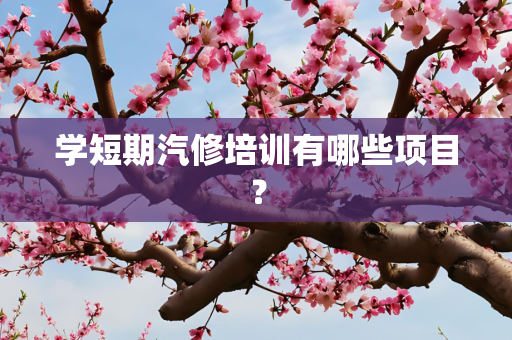 学短期汽修培训有哪些项目？