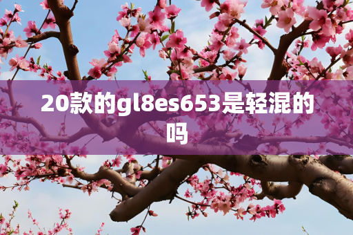 20款的gl8es653是轻混的吗