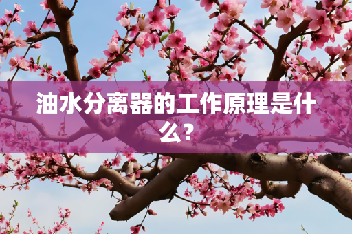 油水分离器的工作原理是什么？