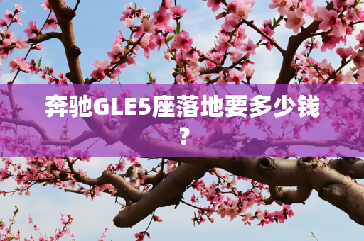 奔驰GLE5座落地要多少钱？