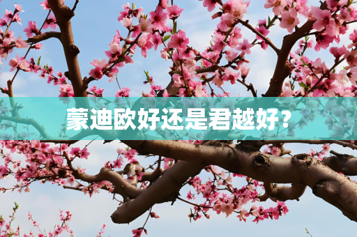 蒙迪欧好还是君越好？