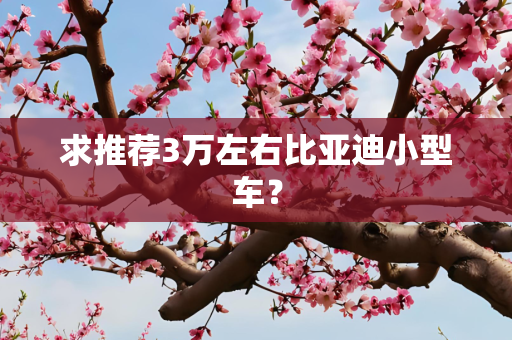 求推荐3万左右比亚迪小型车？