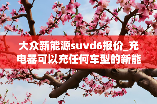 大众新能源suvd6报价_充电器可以充任何车型的新能源汽车吗
