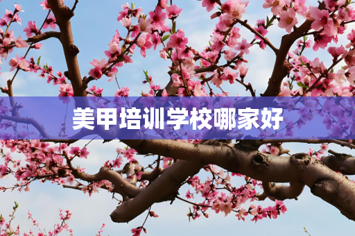 美甲培训学校哪家好