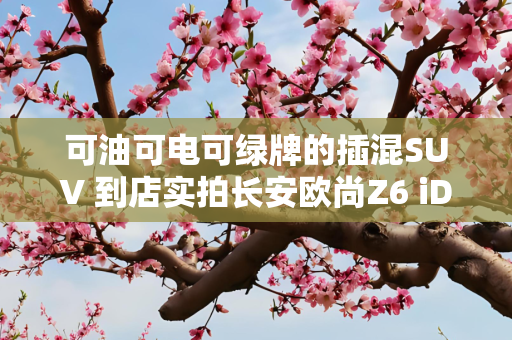 可油可电可绿牌的插混SUV 到店实拍长安欧尚Z6 iDD