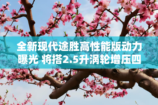 全新现代途胜高性能版动力曝光 将搭2.5升涡轮增压四缸发动机