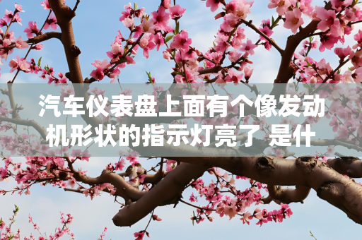 汽车仪表盘上面有个像发动机形状的指示灯亮了 是什么问题