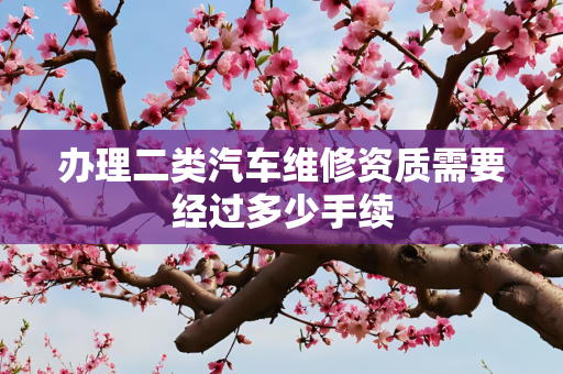 办理二类汽车维修资质需要经过多少手续