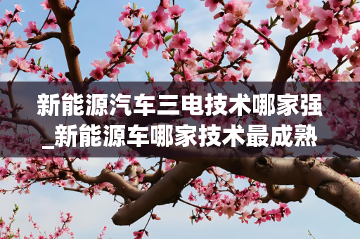 新能源汽车三电技术哪家强_新能源车哪家技术最成熟