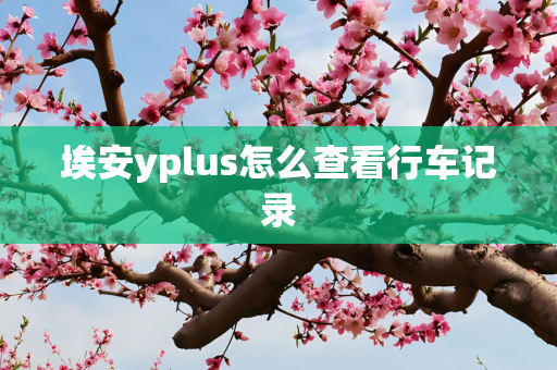 埃安yplus怎么查看行车记录