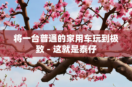 将一台普通的家用车玩到极致 - 这就是泰仔