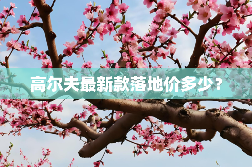 高尔夫最新款落地价多少？