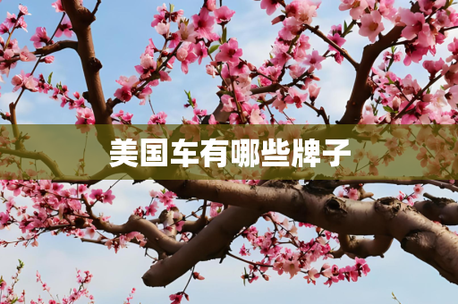 科技 第255页