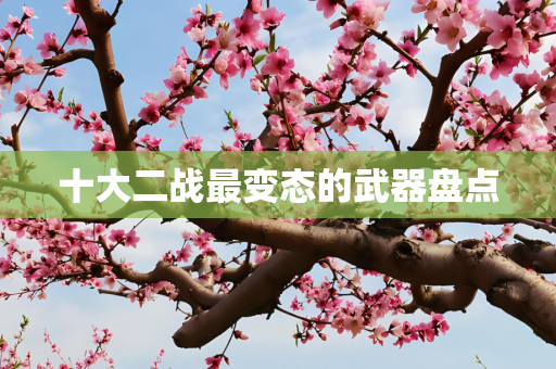十大二战最变态的武器盘点