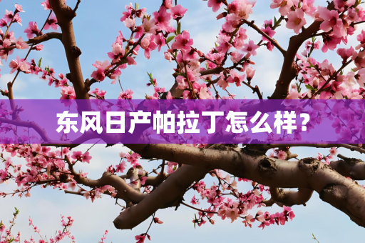 东风日产帕拉丁怎么样？