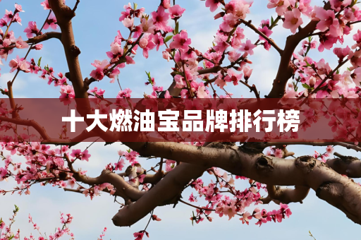 十大燃油宝品牌排行榜