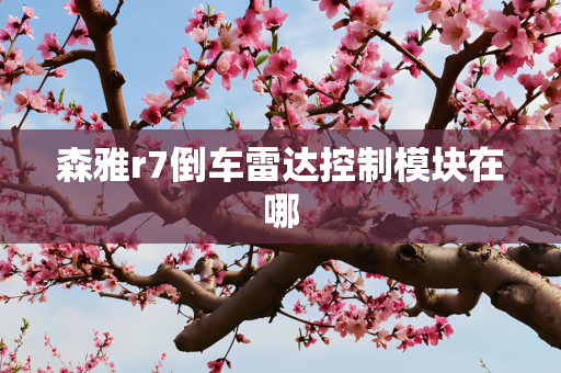 森雅r7倒车雷达控制模块在哪