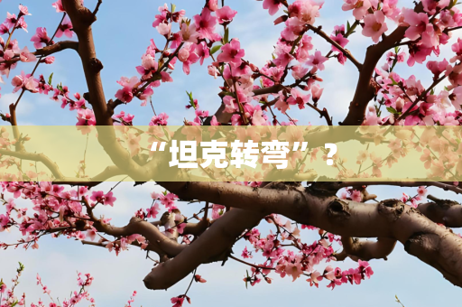 “坦克转弯”？