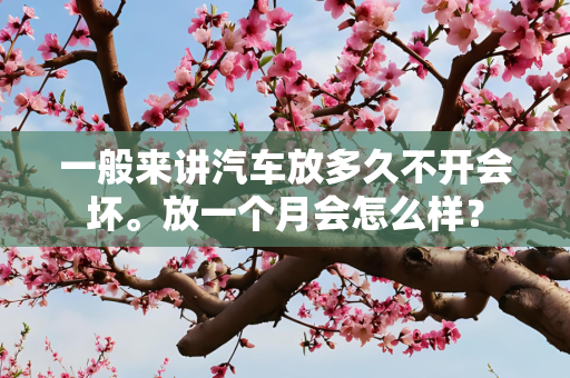 一般来讲汽车放多久不开会坏。放一个月会怎么样？