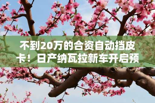 不到20万的合资自动挡皮卡！日产纳瓦拉新车开启预售