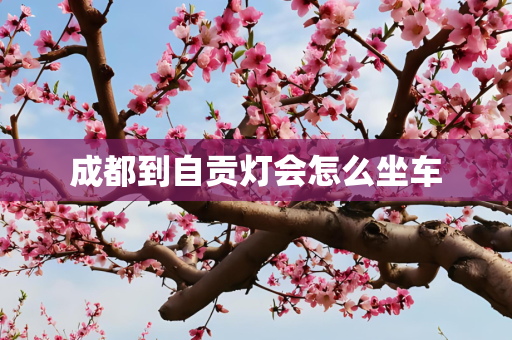 成都到自贡灯会怎么坐车
