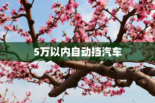 5万以内自动挡汽车