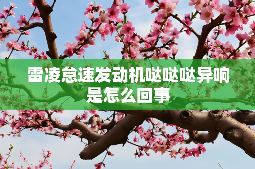 雷凌怠速发动机哒哒哒异响是怎么回事