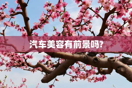 汽车美容有前景吗?