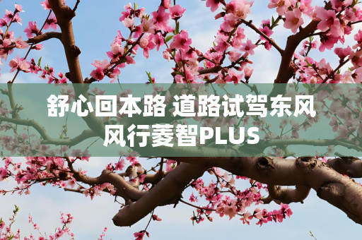 舒心回本路 道路试驾东风风行菱智PLUS