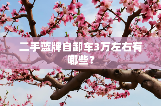 二手蓝牌自卸车3万左右有哪些？