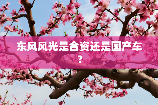 东风风光是合资还是国产车？
