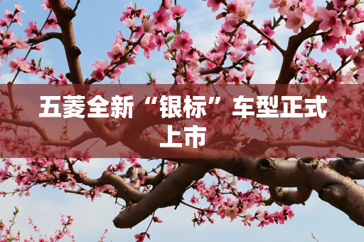 五菱全新“银标”车型正式上市
