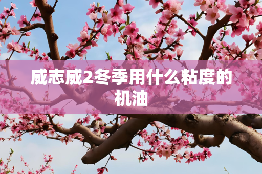 威志威2冬季用什么粘度的机油