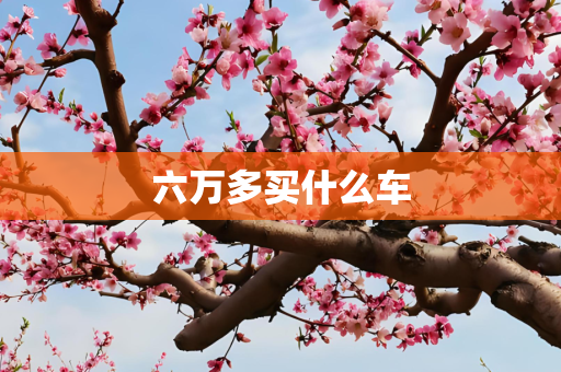 六万多买什么车