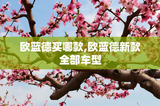 欧蓝德买哪款,欧蓝德新款全部车型