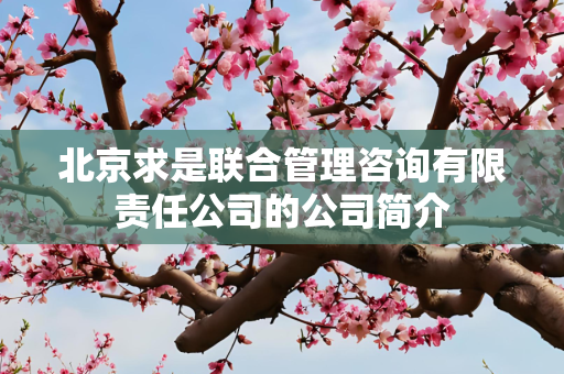 北京求是联合管理咨询有限责任公司的公司简介