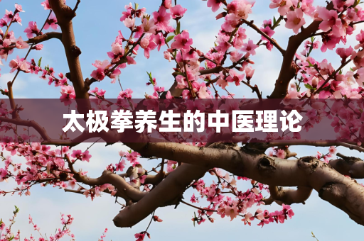 太极拳养生的中医理论