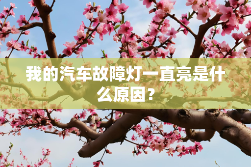 我的汽车故障灯一直亮是什么原因？
