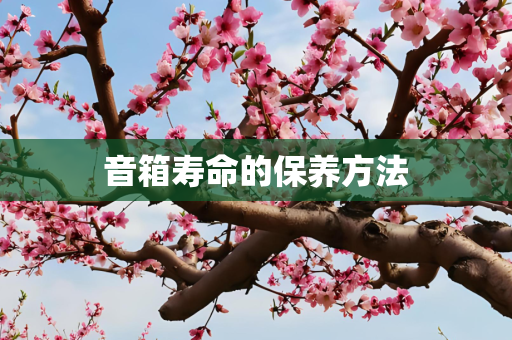 音箱寿命的保养方法