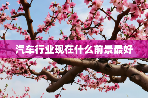 汽车行业现在什么前景最好