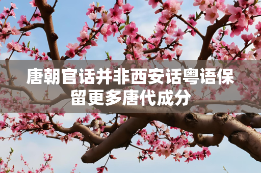 唐朝官话并非西安话粤语保留更多唐代成分
