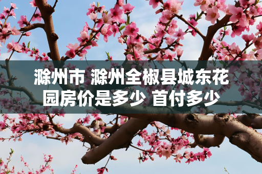 滁州市 滁州全椒县城东花园房价是多少 首付多少