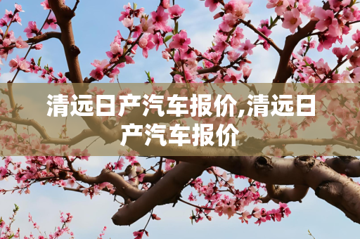 清远日产汽车报价,清远日产汽车报价