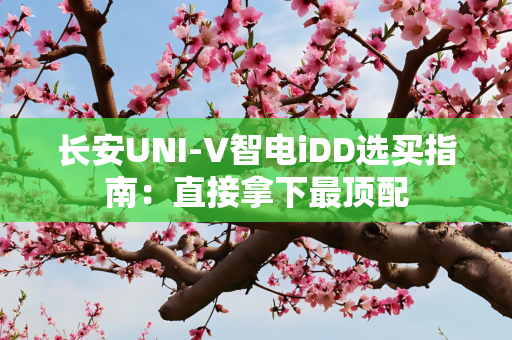 长安UNI-V智电iDD选买指南：直接拿下最顶配