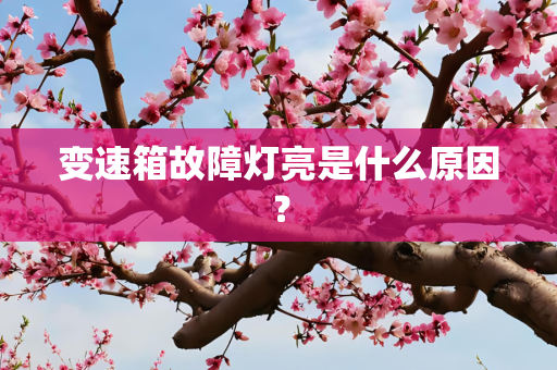 变速箱故障灯亮是什么原因？