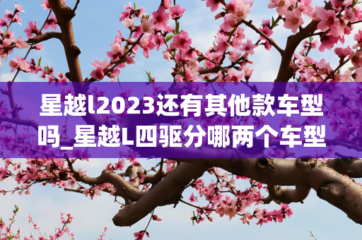 星越l2023还有其他款车型吗_星越L四驱分哪两个车型