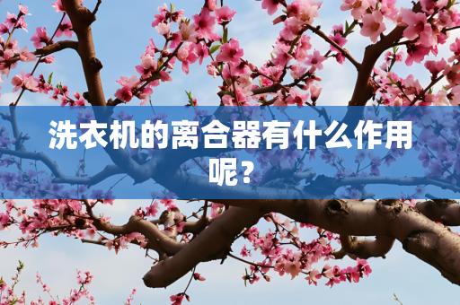 洗衣机的离合器有什么作用呢？