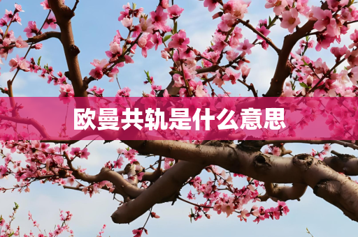 欧曼共轨是什么意思